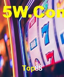 Programa VIP Top88